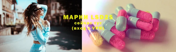 тгк Новозыбков