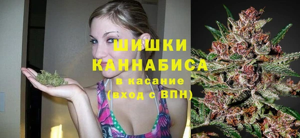 тгк Новозыбков