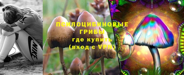 ГАЛЛЮЦИНОГЕННЫЕ ГРИБЫ Новокубанск