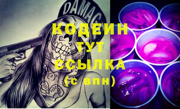 тгк Новозыбков