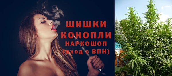 гидра Нефтекумск