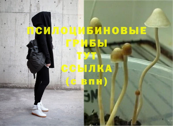 хмурый Среднеколымск