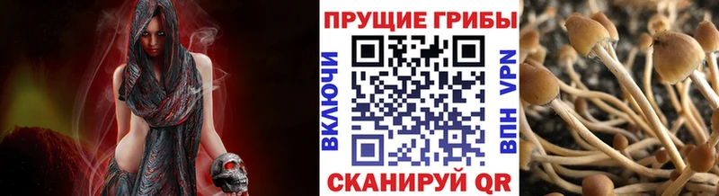 Галлюциногенные грибы мухоморы  дарнет шоп  Петушки 